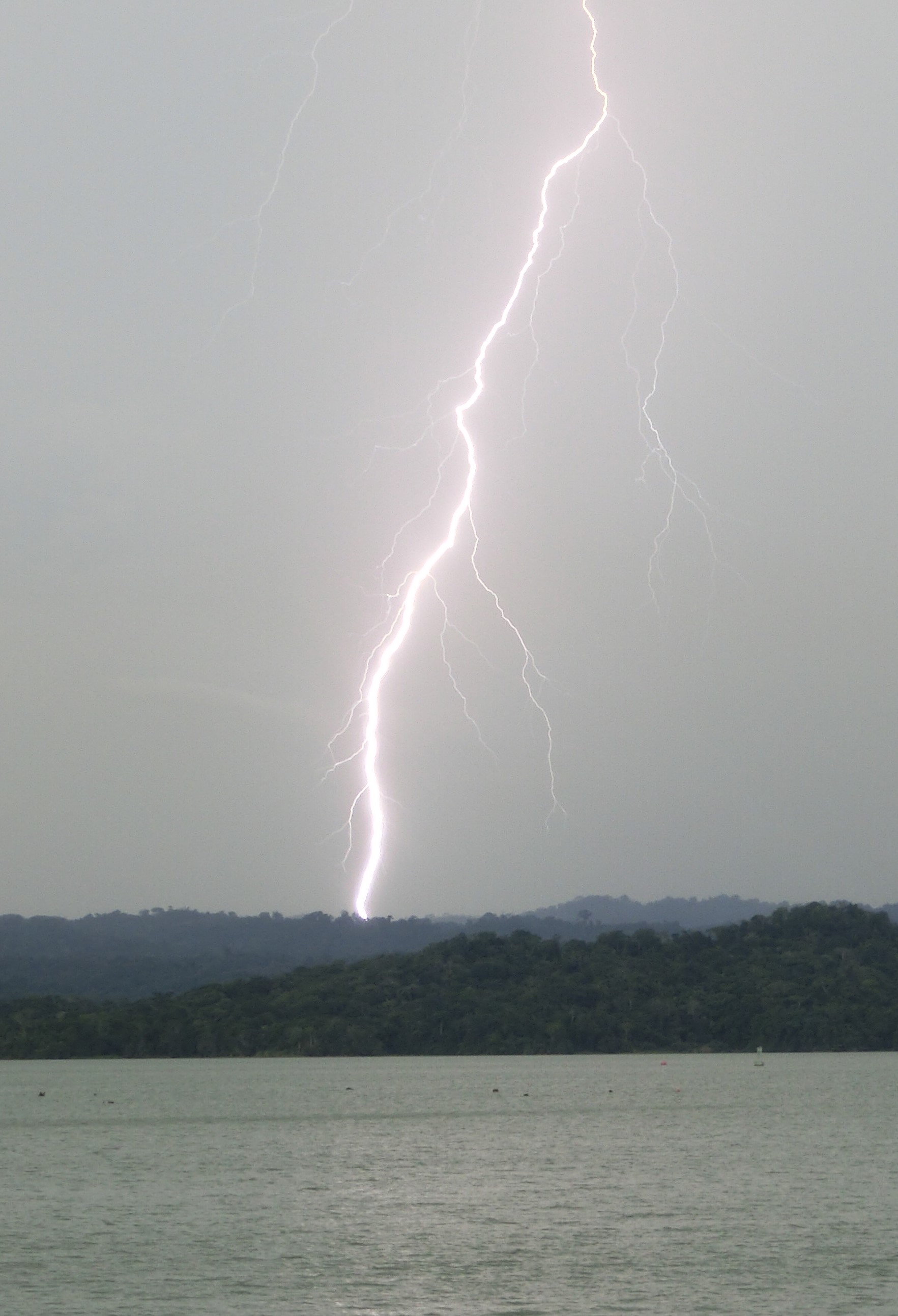 Lightning Strikes More Than 100 Million Times Per Year in the Tropics |  Smithsonian Institution