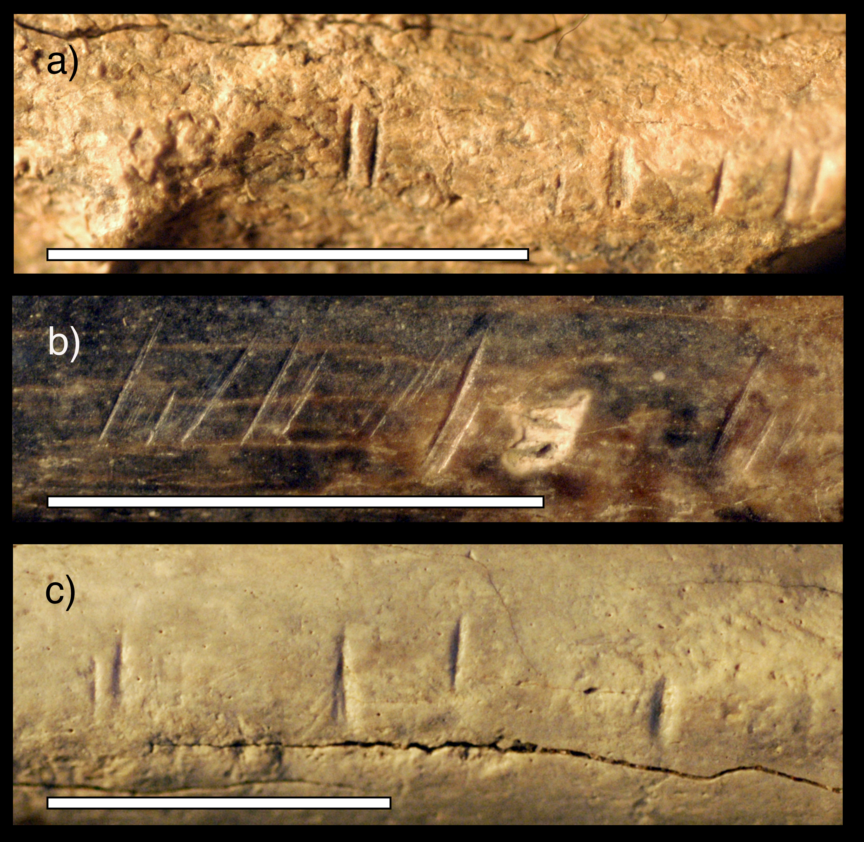 This Is the Oldest Human-Made Object in the Smithsonian Collections, At  the Smithsonian