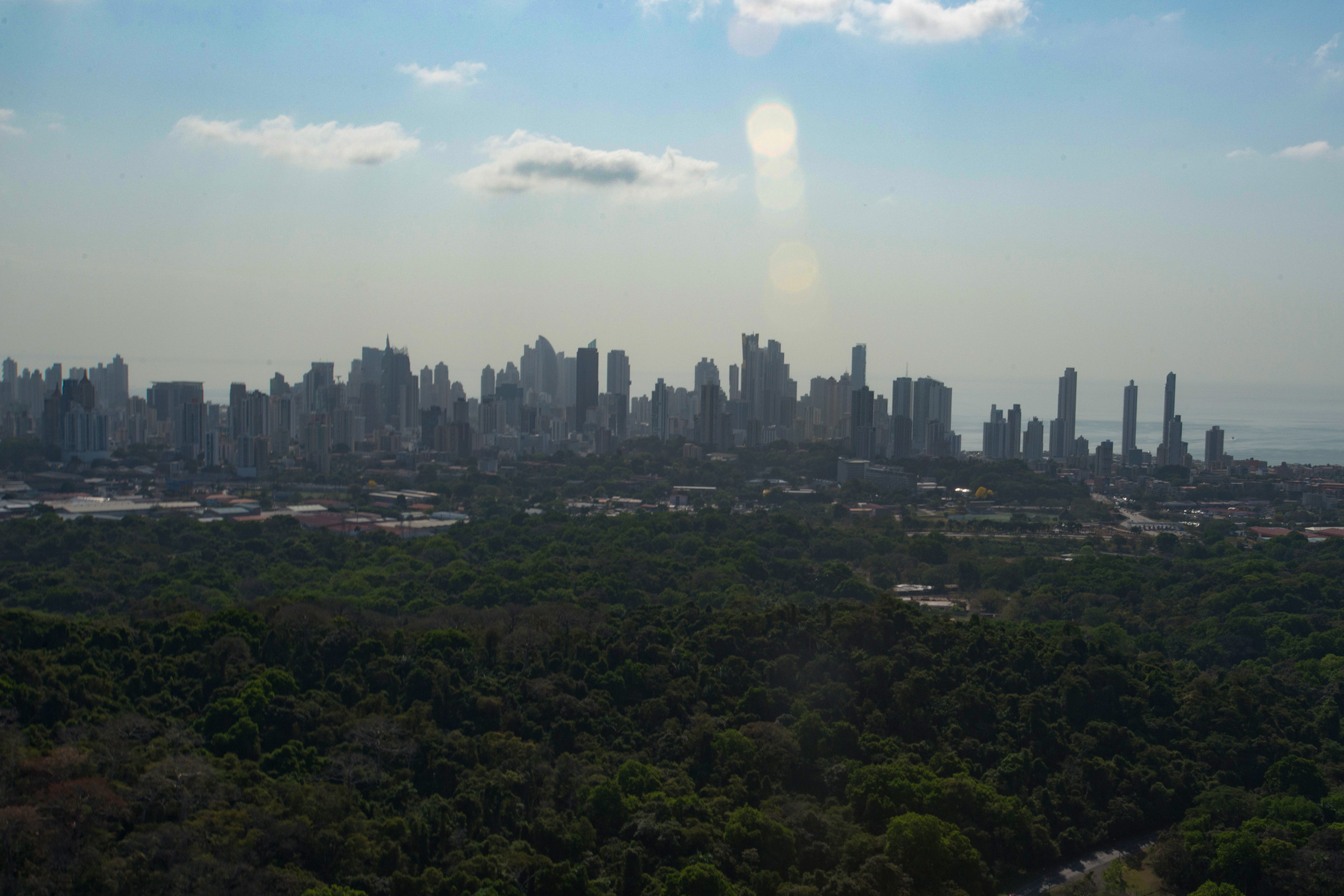 Frog Sex in the City: Urban Tungara Frogs Sound More Attractive Than Forest  Frogs | Smithsonian Institution