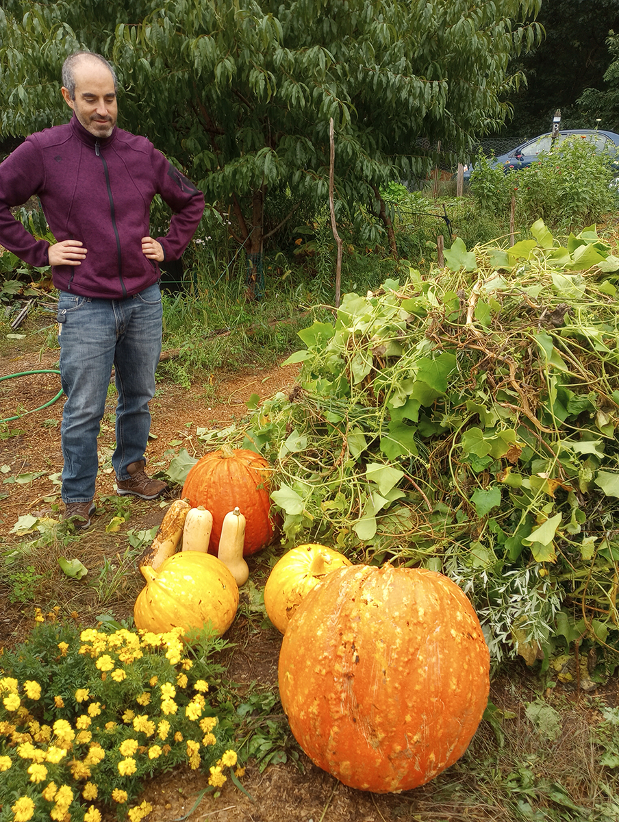 Gonzalo Gonzalez Abad stands next to a garden looking at large orange pumpkins.