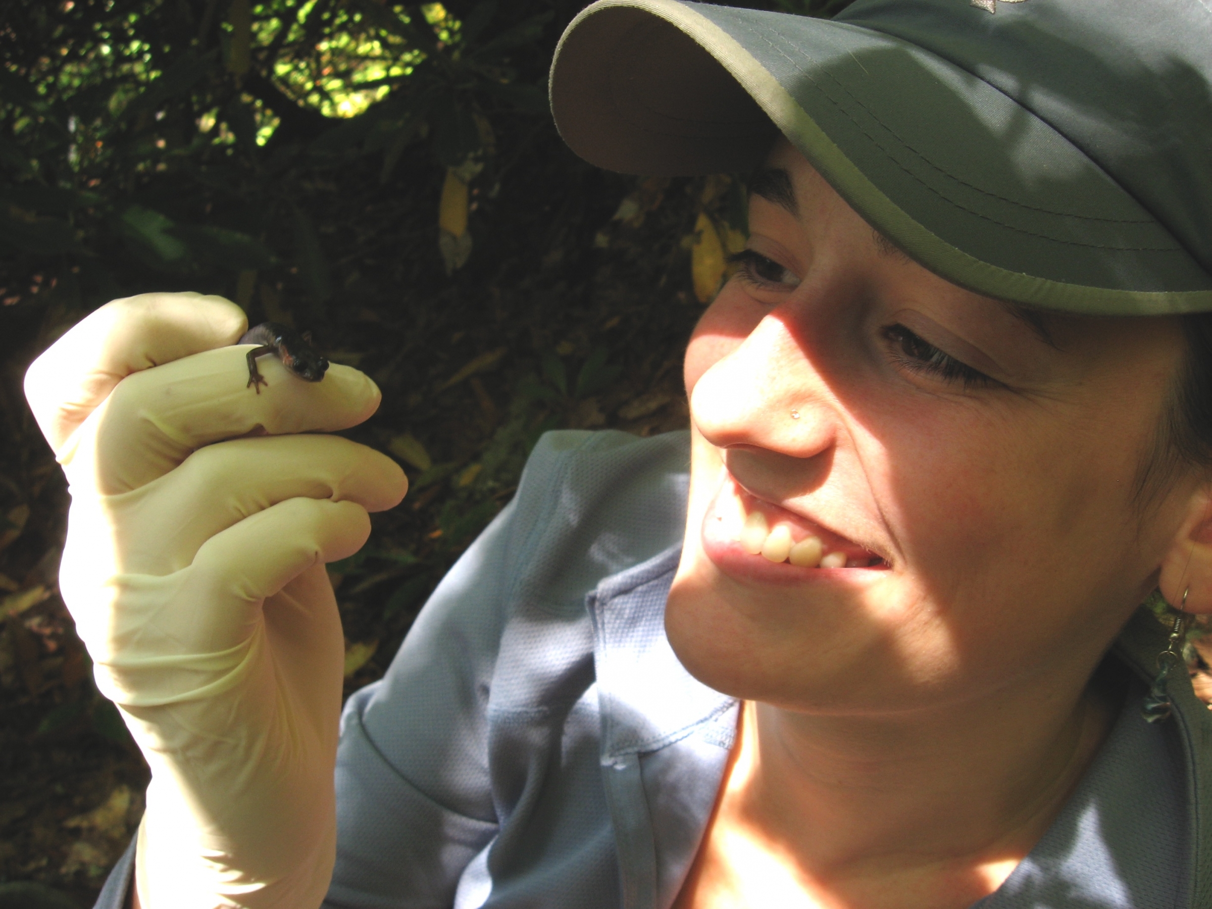 Carly Muletz Wolz holds a small salamander in her hands.