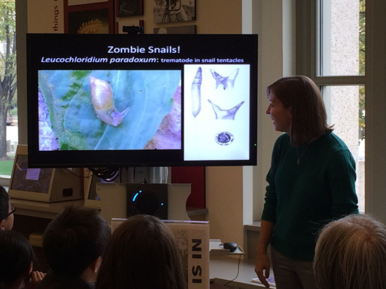 Visitors watch in awe as Anna shows a video of the flat worm Leucochloridium paradoxum burrowing into a snail’s eye stalks. (Photo: No Bones, NMNH) 