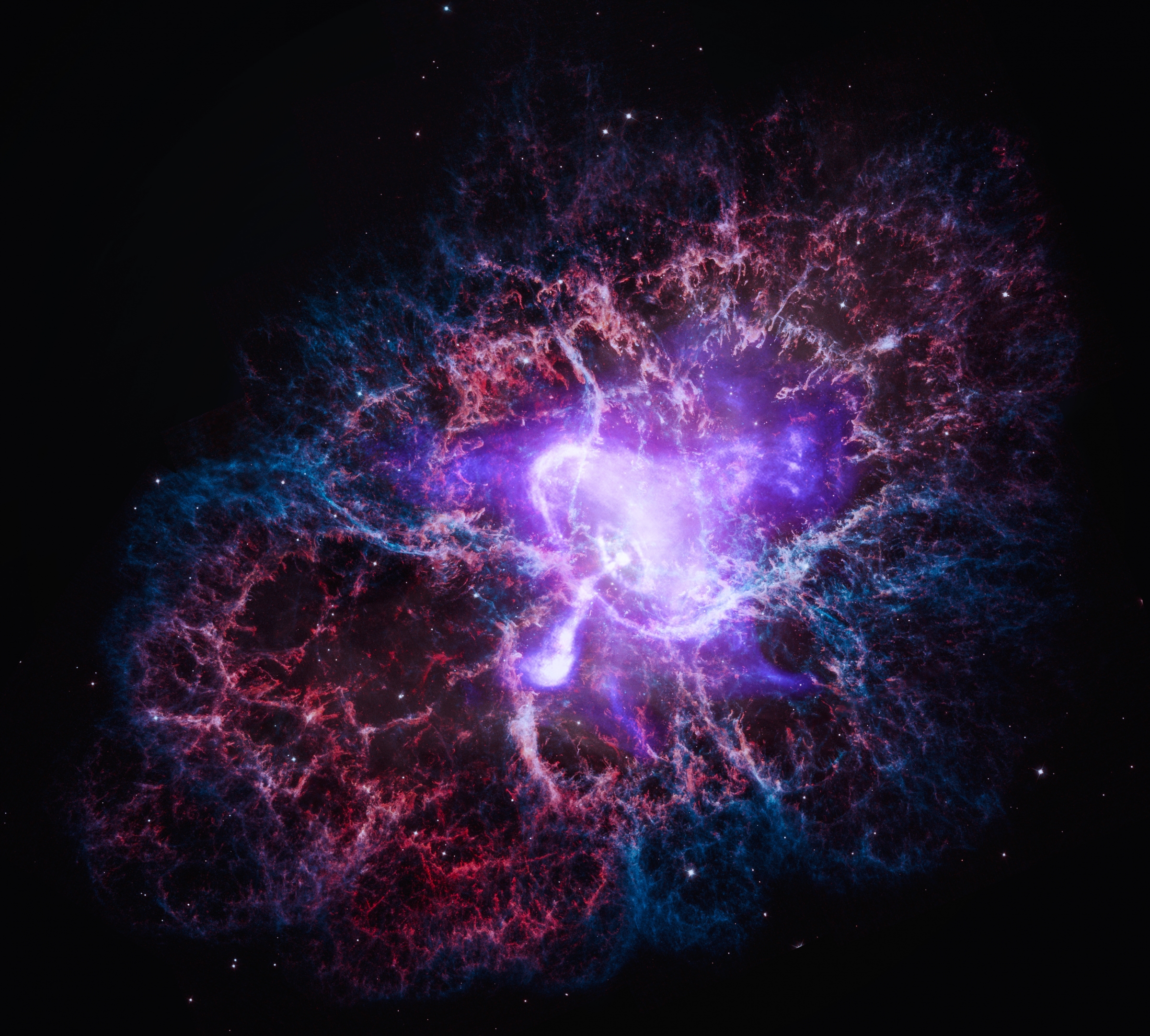 This composite image features the remnant of a supernova explosion, which resembles a neon purple mushroom at the heart of a colorful web of veins and filaments.