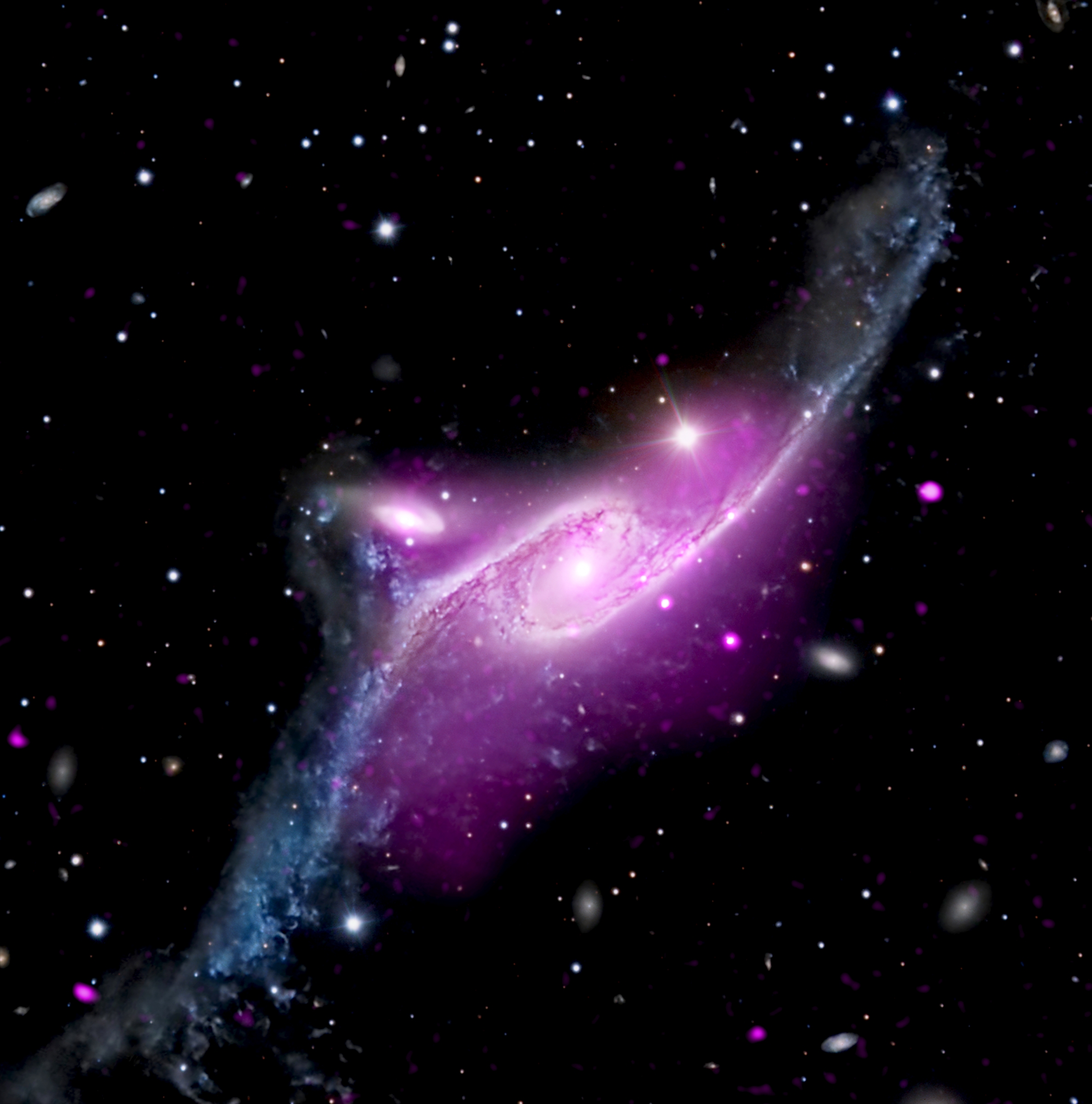 A large spiral galaxy with two elongated arms that stretch toward our upper right and lower left. Near the white dot at the heart of the galaxy, a cloud of neon purple tints the arms, which appear steel blue at the tips. The purple represents hot gas detected by Chandra. Just to the upper left of NGC 6872 is a second spiral galaxy. Its spiraling arms are much smaller, but the bright white dot at its core is quite large, suggesting a supermassive black hole. Some of the steel blue matter and gas from NGC 6872’s lower arm appears to be floating toward the smaller galaxy, likely pulled toward the supermassive black hole.