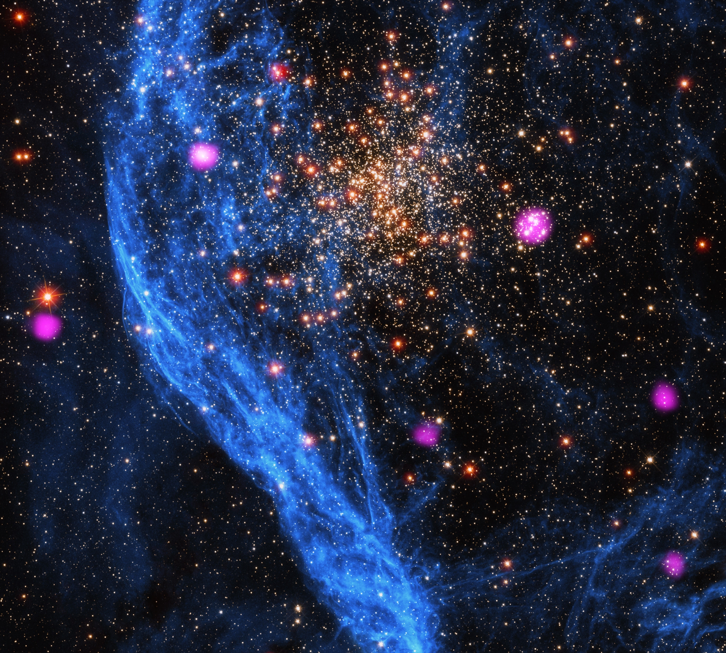 This composite image features a double star cluster, a blue-tinted cloud, and several neon purple dots. This double cluster is part of the Large Magellanic Cloud, a companion galaxy to the Milky Way. The bright, golden stars in the larger cluster fill the upper center of the image. The other cluster is much smaller and coincides with one of the neon purple circles located slightly above and to the right of the image’s center. This and the other purple circles are X-ray sources detected with Chandra. To our left of the combined cluster is a vertical streak of blue-tinted cloud. Extending beyond the upper and lower edges of the image, this section of cloud resembles wafting smoke from a cigarette.