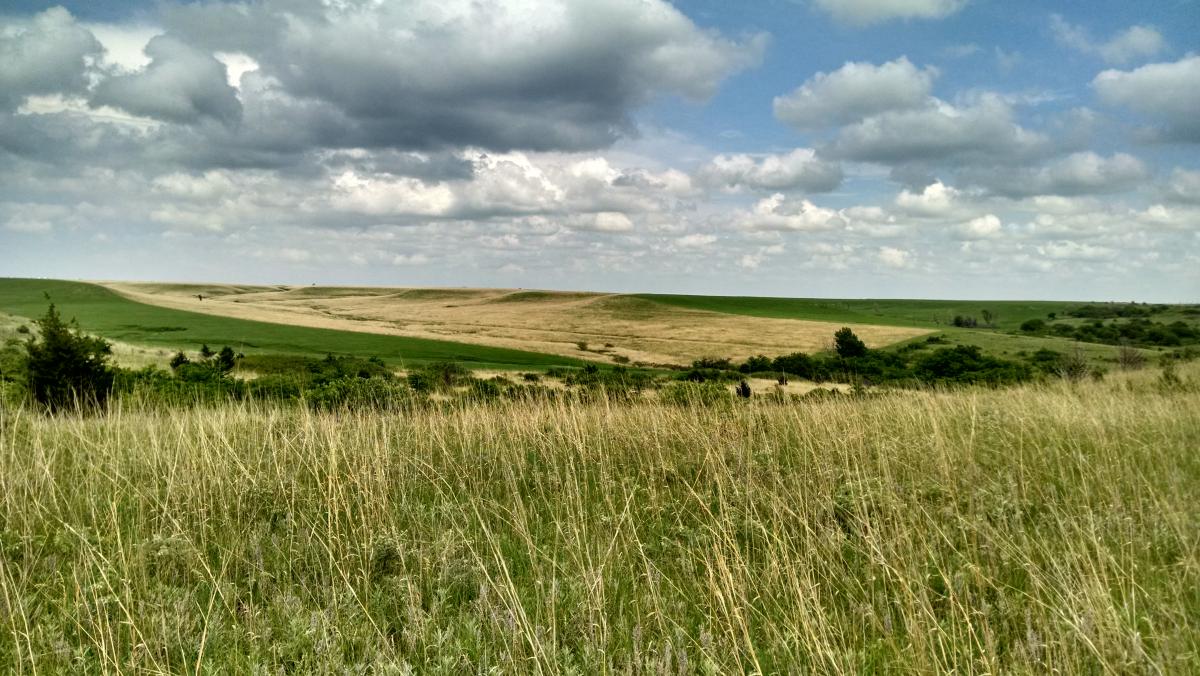 Green and brown grasses make up a landscape on rolling hills.