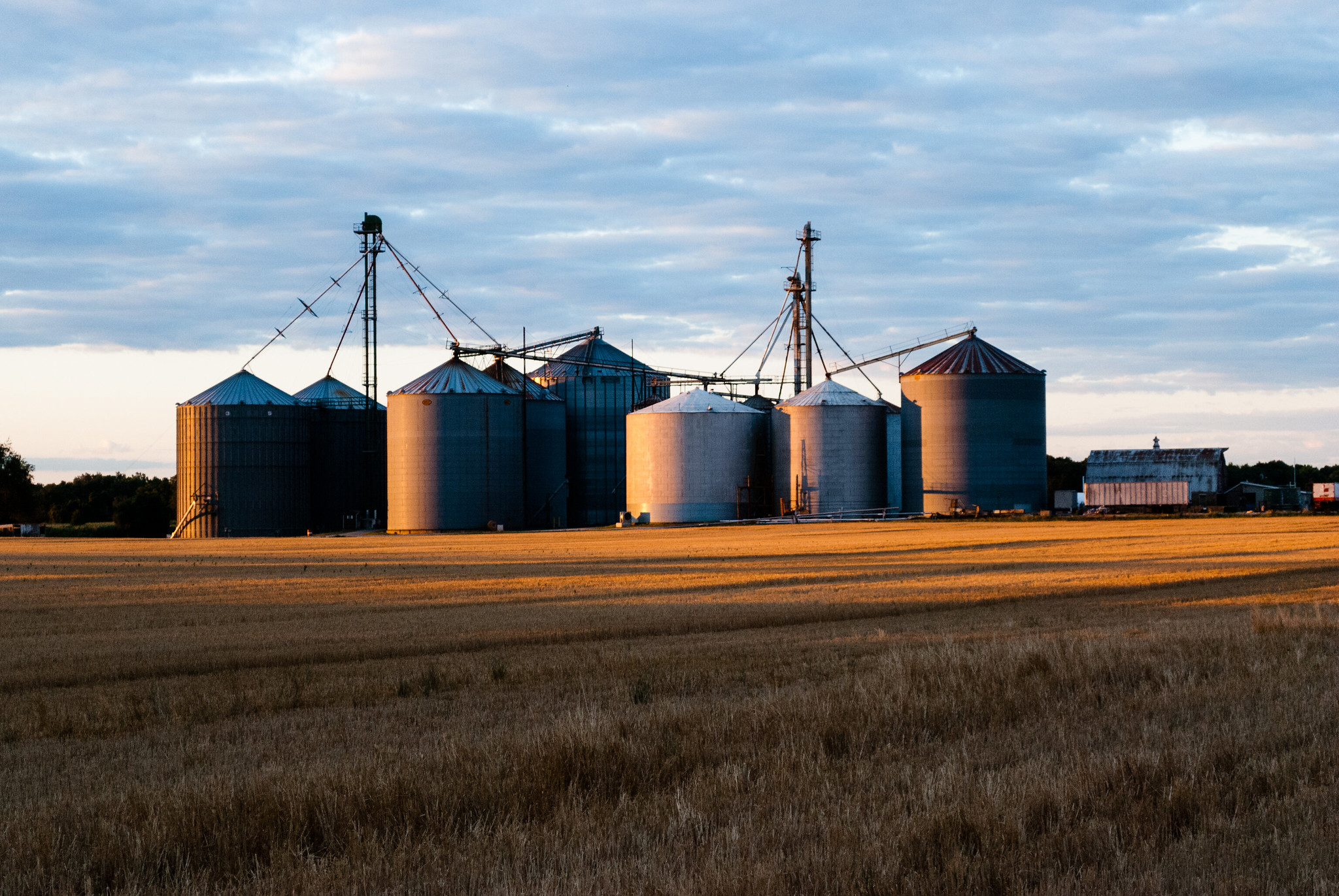 Many silver silos stand on farm land with a blue sky in the background.