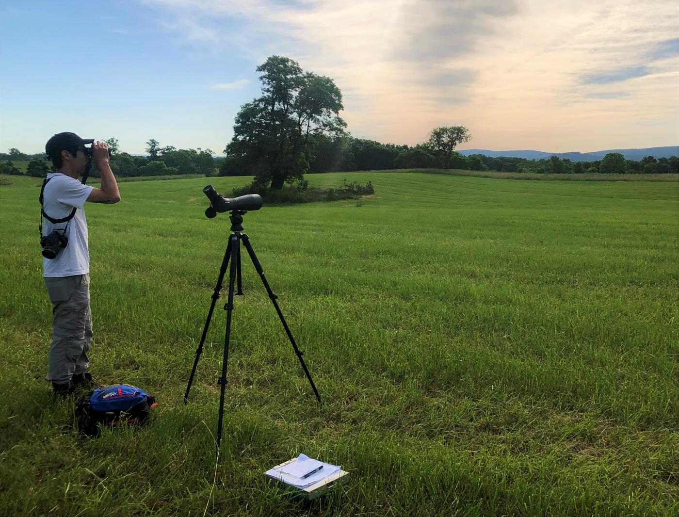 A person looks through binoculars over grass.