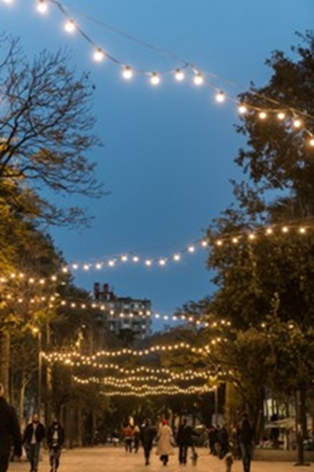 Photograph of brick street with people walking, trees, and string lights.