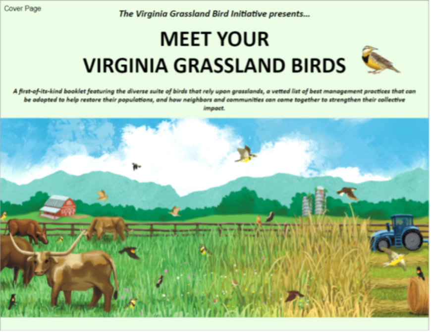 Booklet on birds in the Virginia Grasslands.