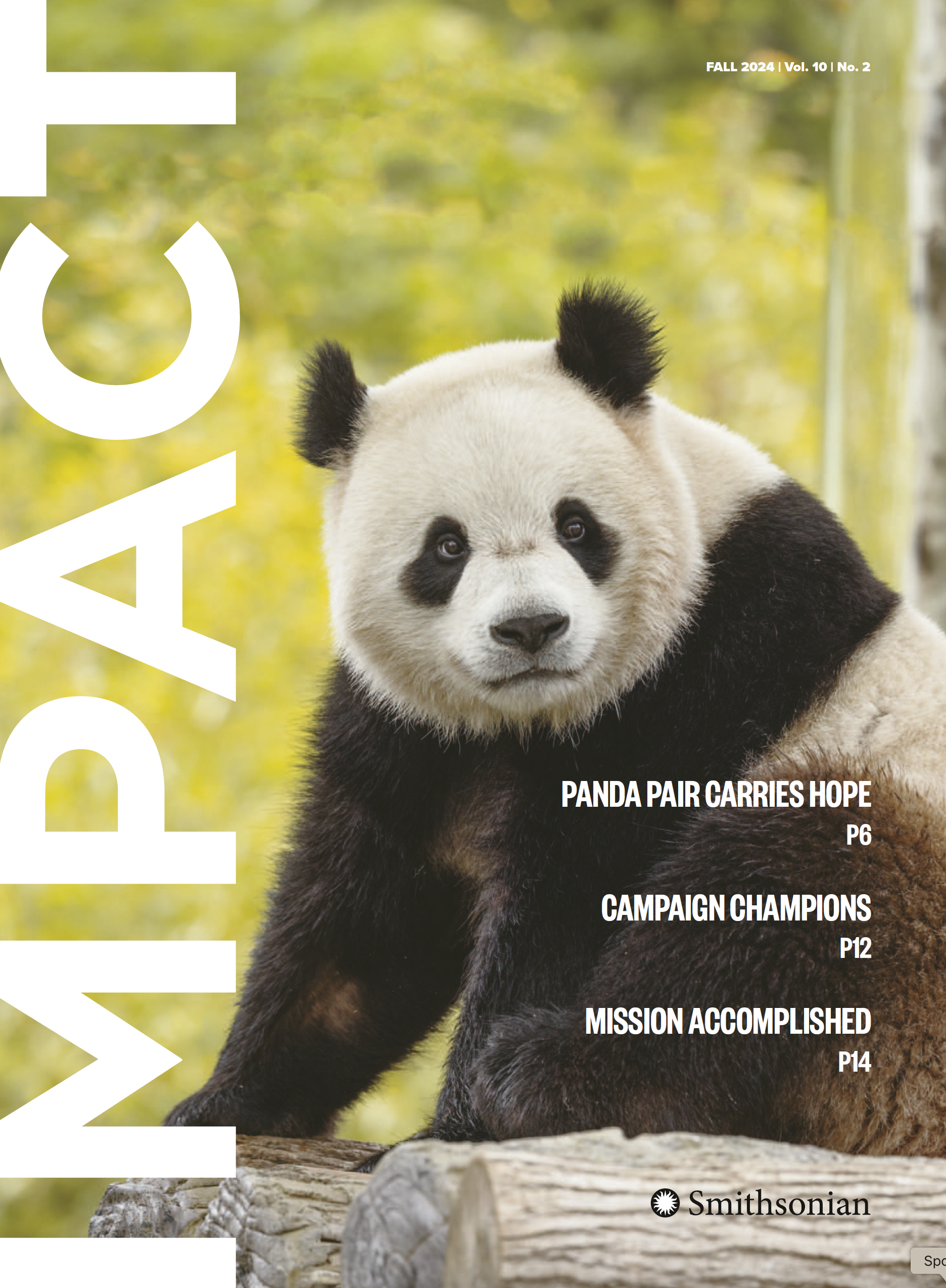 Impact Cover Fall 2024 with photo of panda in front of foliage