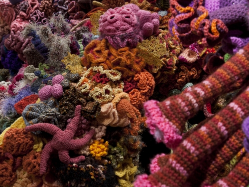 Hyperbolic Crochet Coral Reef 2 | Smithsonian Institution