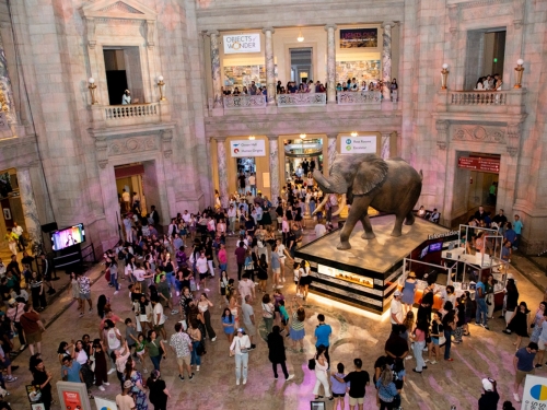 Second-floor view of large atrium with people inside and a large recreation of an elephant.