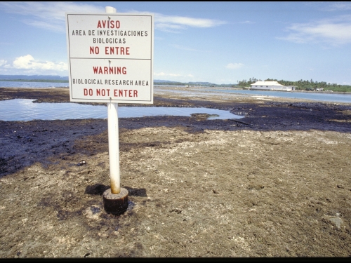 Beach with warning sign in Spanish and English