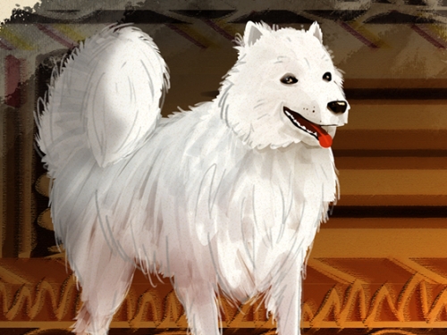 Illustration of a white fluffy dog. 