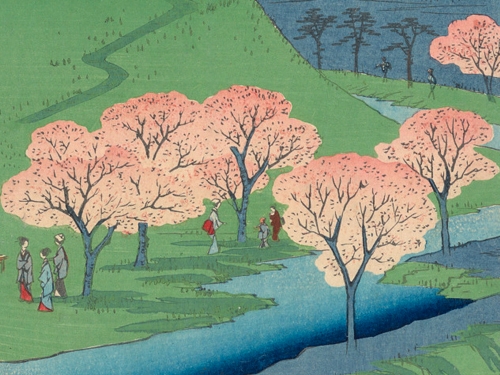 Illustration of cherry blossom trees along a river.