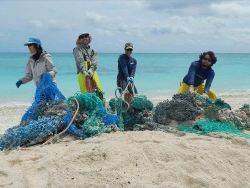 workers from NOAA remove discarded fishing nets from Midway Atoll