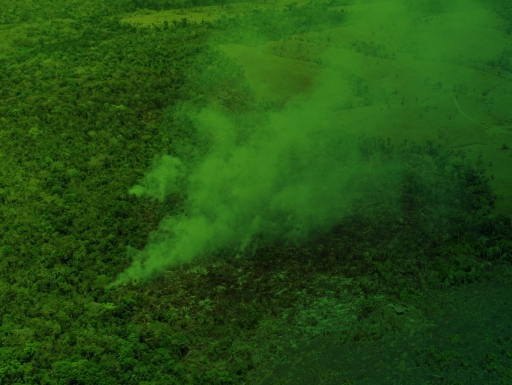 Aerial view of a lush green forest with green smoke rising above the trees.