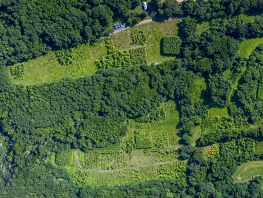 An aerial view of tree plots of various green colors.