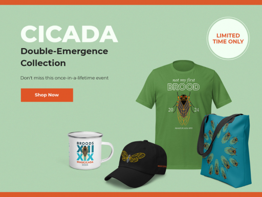 Cicada double-emergence collection.