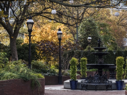 Trees and shrubs in a fall garden with a lamp post and fountain.