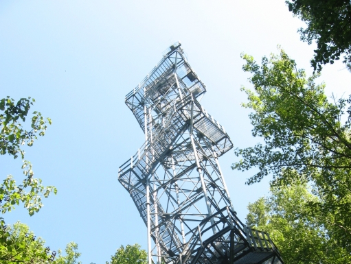 A tall silver weather tower amidst green trees. 