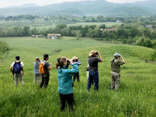 A group of people stand in a green field and look out of binoculars.