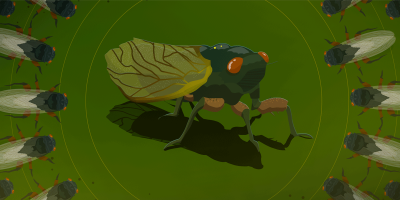 cicada outguess duck