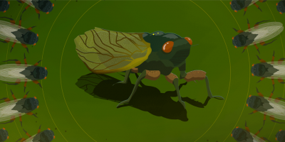 Illustration of a single large cicada surrounded by smaller cicadas with a green background. 