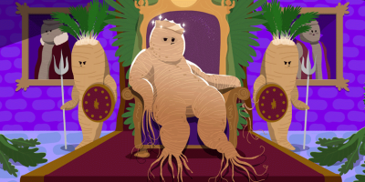 Illustration with ginseng creature on a thrown