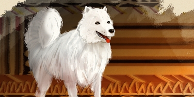 Illustration of a white fluffy dog. 