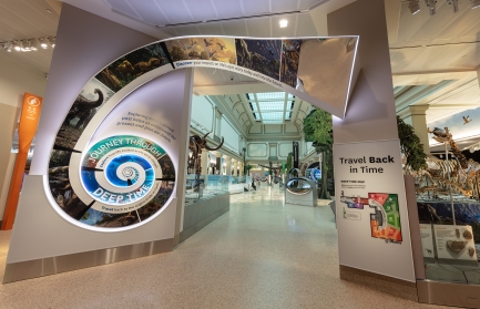 Entrance to museum gallery with large white doorway feature in shape of trumpet.