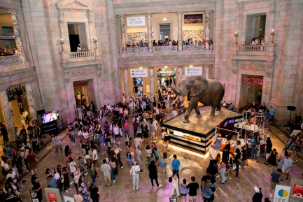 Second-floor view of large atrium with people inside and a large recreation of an elephant.