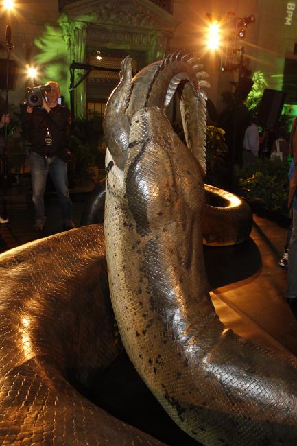 Titanoboa: Monster Snake Premieres At The National Museum Of Natural ...