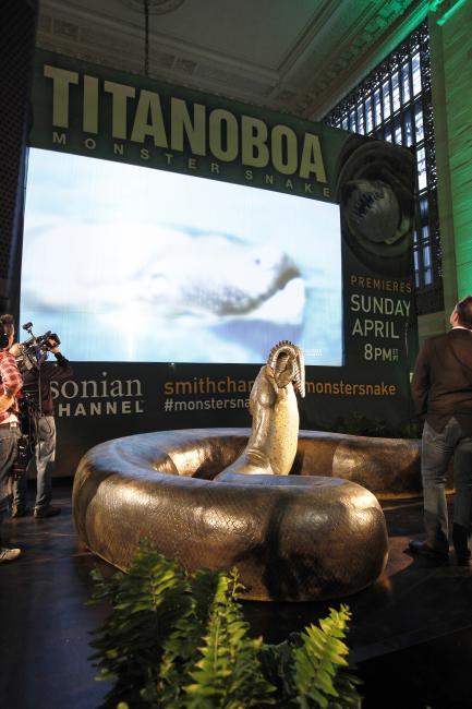 Titanoboa: Monster Snake Premieres At The National Museum Of Natural ...