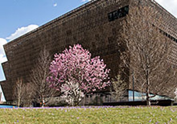 The History of the Air Jordan, At the Smithsonian