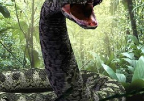 Titanoboa Monster Snake 2022