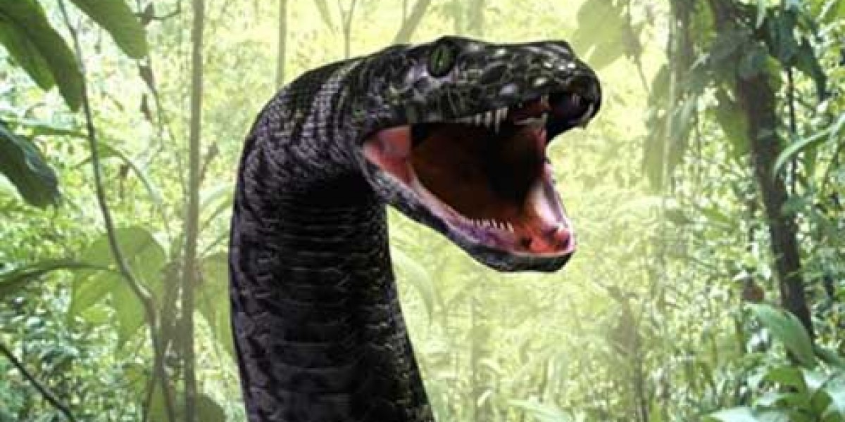 what is the largest anaconda ever captured or killed