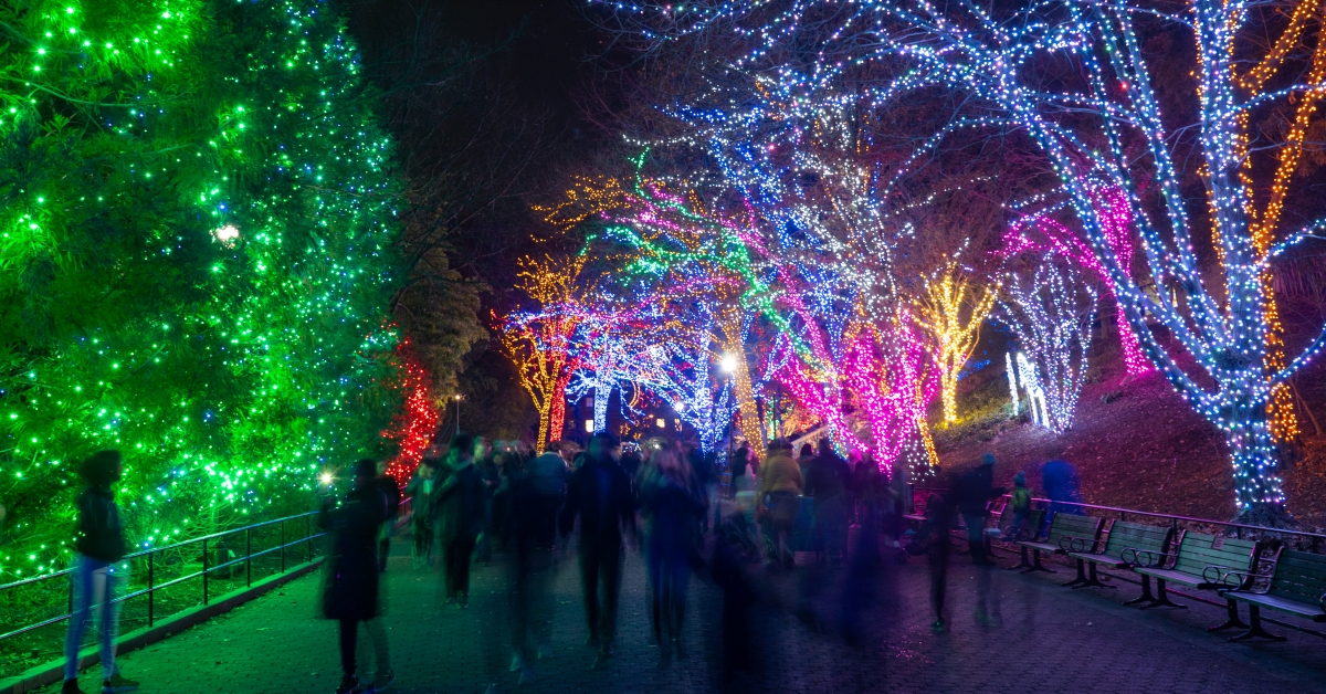 ZooLights, Powered by Pepco, Returns Nov. 25 | Smithsonian Institution