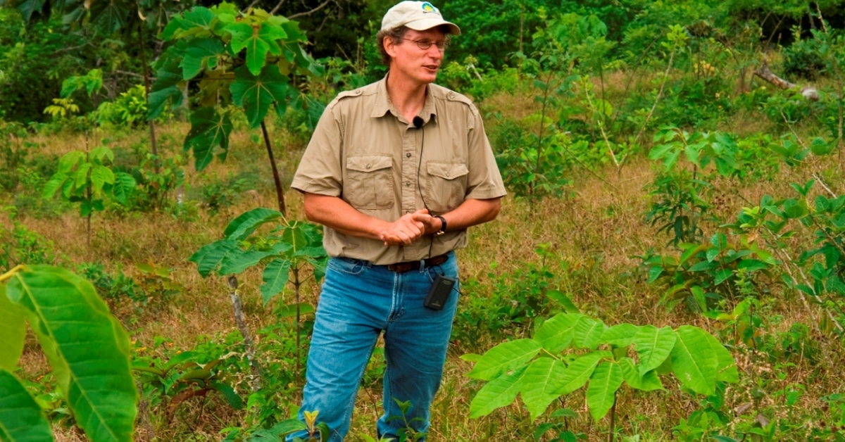 Reforestation Research In Latin America Helps Build Better Forests Smithsonian Institution 6694